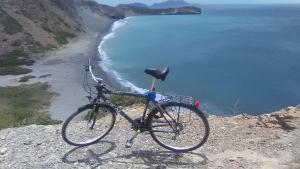 Traditional Art House