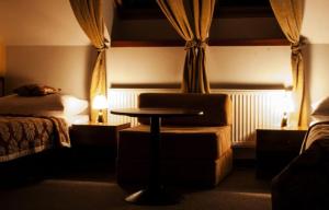 Standard Twin Room room in Hotel Pod Hradom