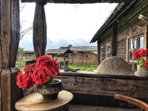 Chata Village Museum Zabrodye Zabrodye  Bělorusko