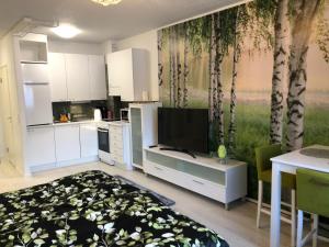 Maisas studio Vieremä