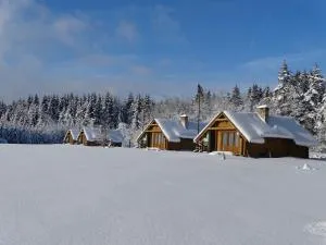 Chatky a apartmány Apollo na Vysočině - Bobrŭvka