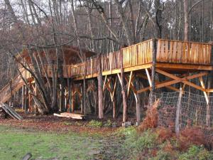 Tentes de luxe Cabane des cerfs : photos des chambres