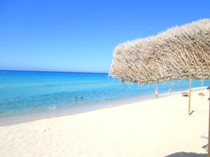 Sardinia Yellow House img14