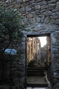 B&B / Chambres d'hotes Chambre et Gite Le Roc sur l'Orbieu : photos des chambres