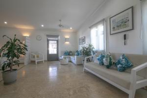 El Cactus Luxury Apartments in Historic Center