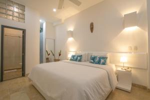 El Cactus Luxury Apartments in Historic Center