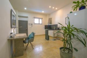 El Cactus Luxury Apartments in Historic Center