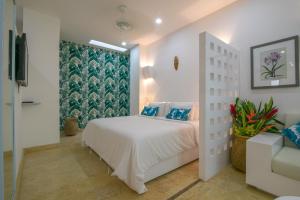 El Cactus Luxury Apartments in Historic Center