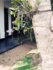Serene Niche