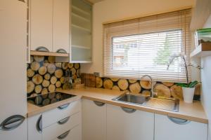 Luxury apartment with a nice view in Kranjska Gora 