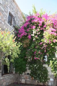 Villa Mandarin by Important Group Travel