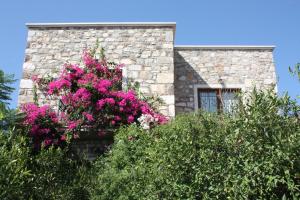 Villa Mandarin by Important Group Travel