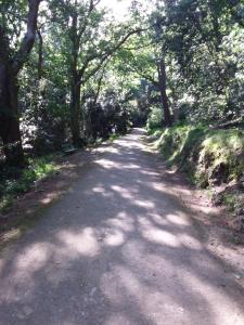 Appartements 3 Allee de l'Oree du Lac : photos des chambres