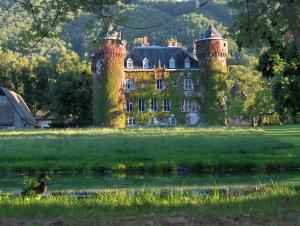 Château de Sédaiges photo 21