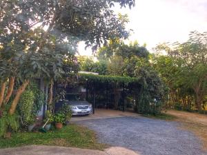 Better Weather Homestay