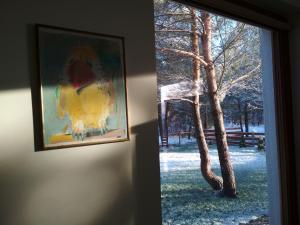 Koci Grzbiet Agroturystyka