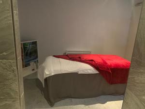 Appartements Boost Your Immo Chalet des Rennes 85 Prestige : photos des chambres
