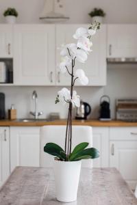 Appartement Bien-être au coeur de Cabourg - Les locations de Proust photo 21