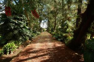 Casa Finca Corales Llano Grande 2