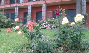 Balcone sul Tigullio