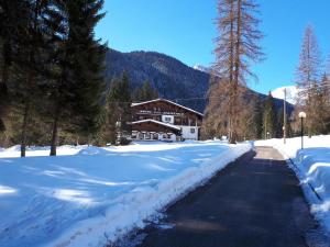 Hotel Albergo Scoiattolo Falcade Itálie