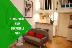 Le typique - coeur de ville - 图卢兹