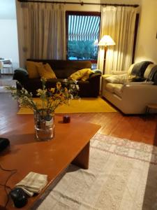 House with beautiful garden and swimming pool