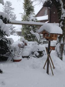 Ferienwohnung Milchgaessli