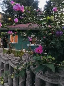 Гостевой дом Bella - Pitsundskiy