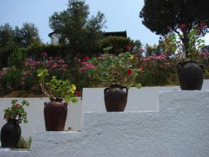 Villa Frideriki Skiathos Greece