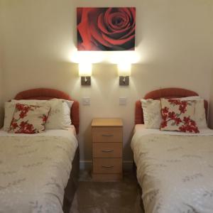 Dragon Bed and Breakfast