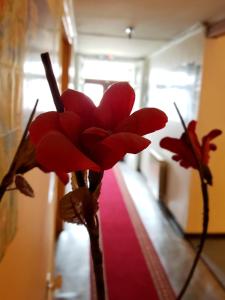 Hostal Torres del Paine 2