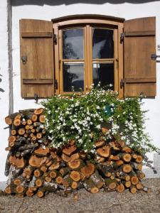 Appartement Ferienwohnung am Buchenweg Marktschellenberg Deutschland