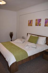 Apartament Zimbru