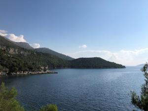 Villa Dalmata