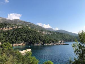 Villa Dalmata