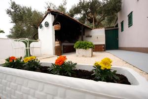 Apartment Glavina with heated pool