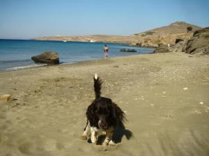 Vrahos Studios Tinos Greece