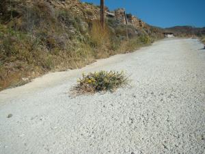 Vrahos Studios Tinos Greece