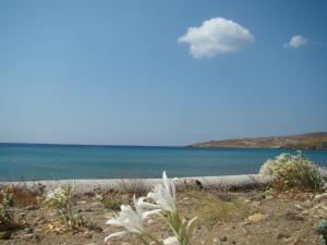 Vrahos Studios Tinos Greece