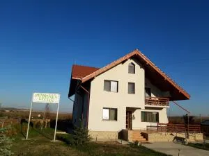Pensiunea Lucian - Poiana Mărului