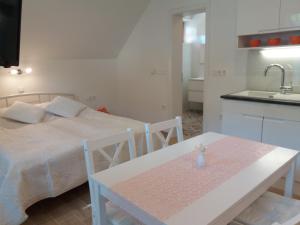 APARTMA BREMEC-STUDIO