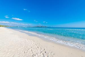 Sun of the Beach, vacaciones en la playa de Alcudia