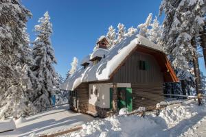 Vikendica Bajta Luna Krvavec (ski-in/out) Cerklje na Gorenjskem Slovenija