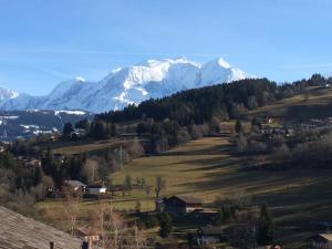 Appart'hotels Luxury 2 Bedroom Apartment with view of Mont Blanc : photos des chambres