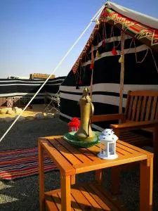 Queen Desert camp - 阿夏尔奇亚