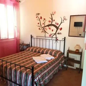 Società Agricola F.lli Angelucci - Collemancio