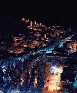 Guesthouse Guram Baba