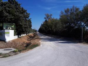 Hotels Hotel des Granges : photos des chambres