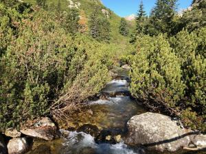 Apartmán pod Štítom